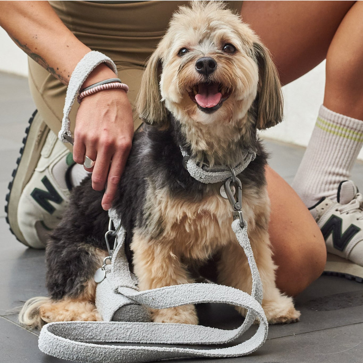 leashes-1
