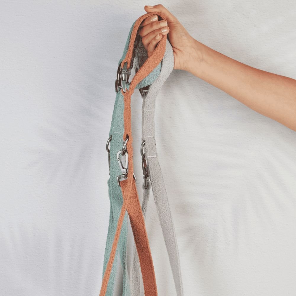 leashes-2